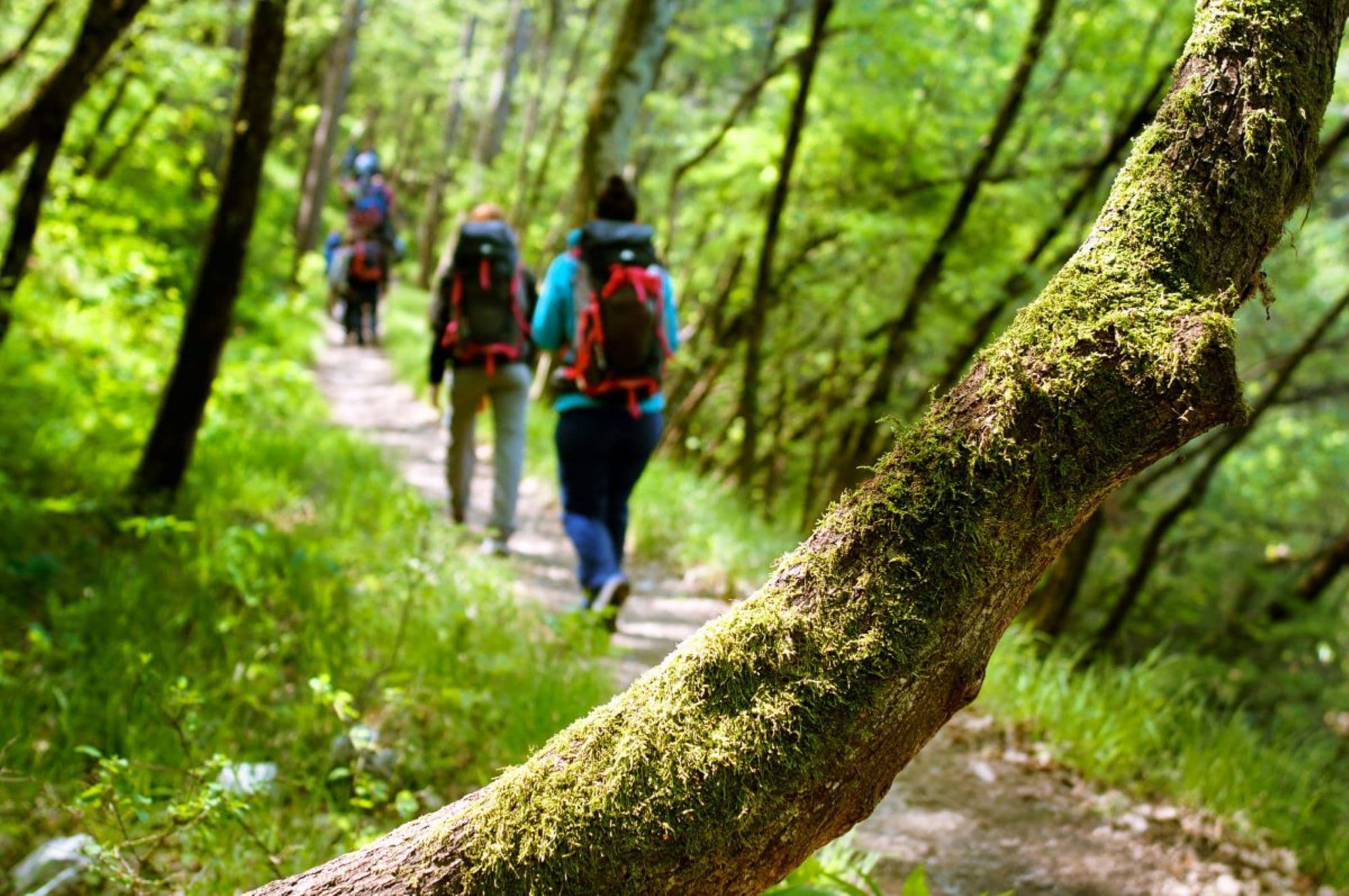 13_zöld nyaralás_Insta_jún.jpg