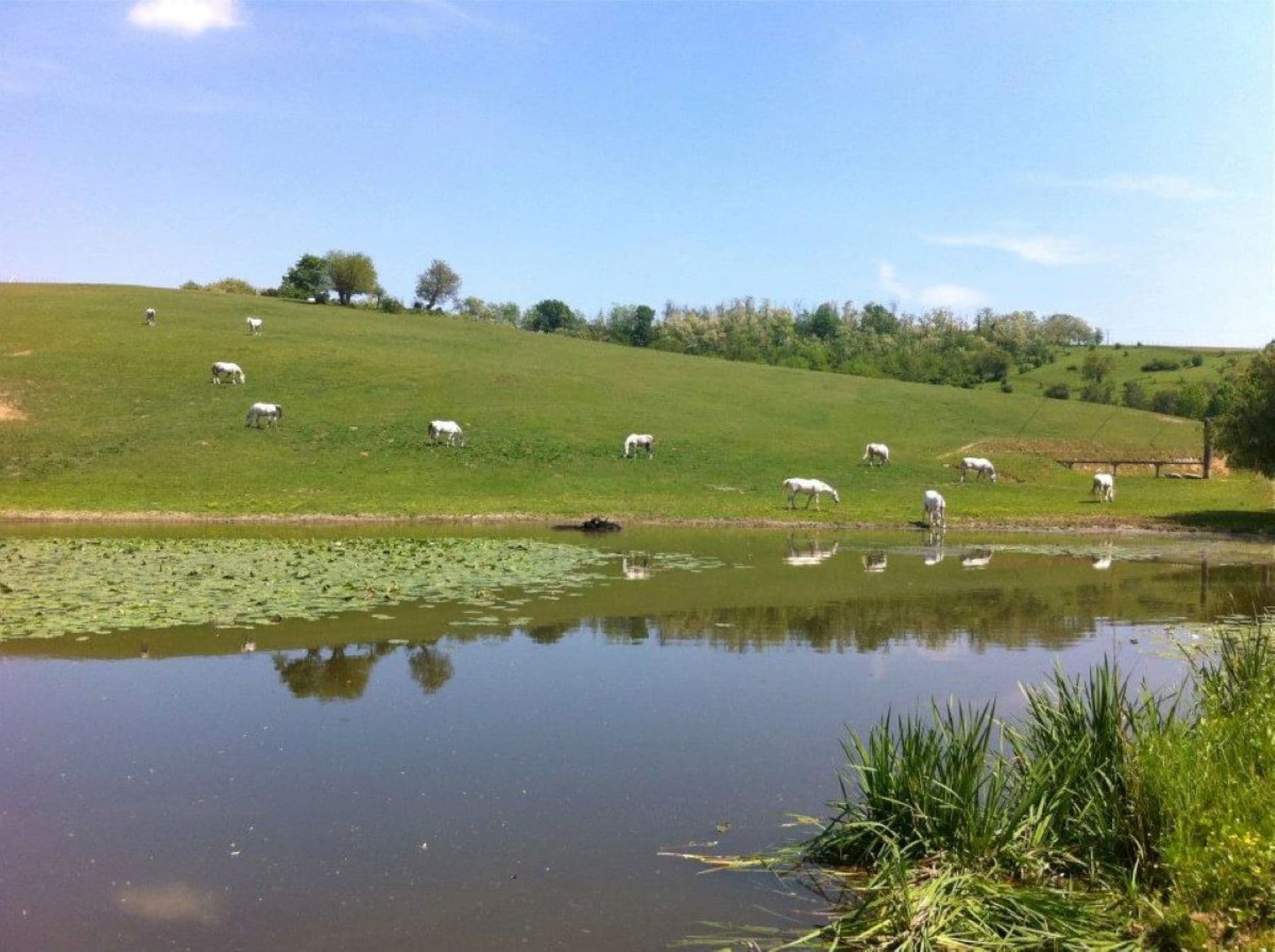 21_Videó_Kassai Lajos_Insta_máj.jpg