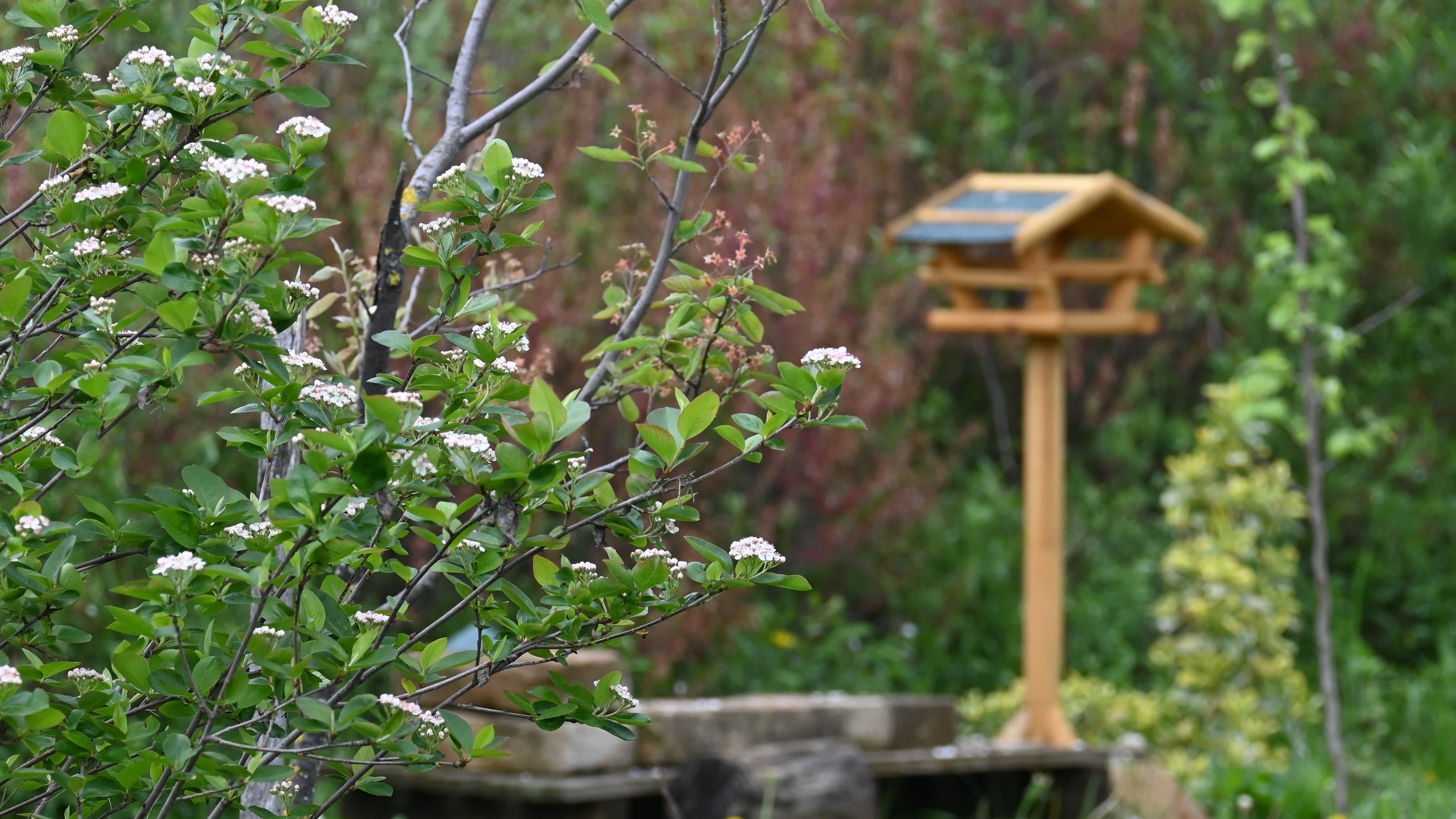 22_a madarak a jövő zálogai_Insta_okt_0.JPG