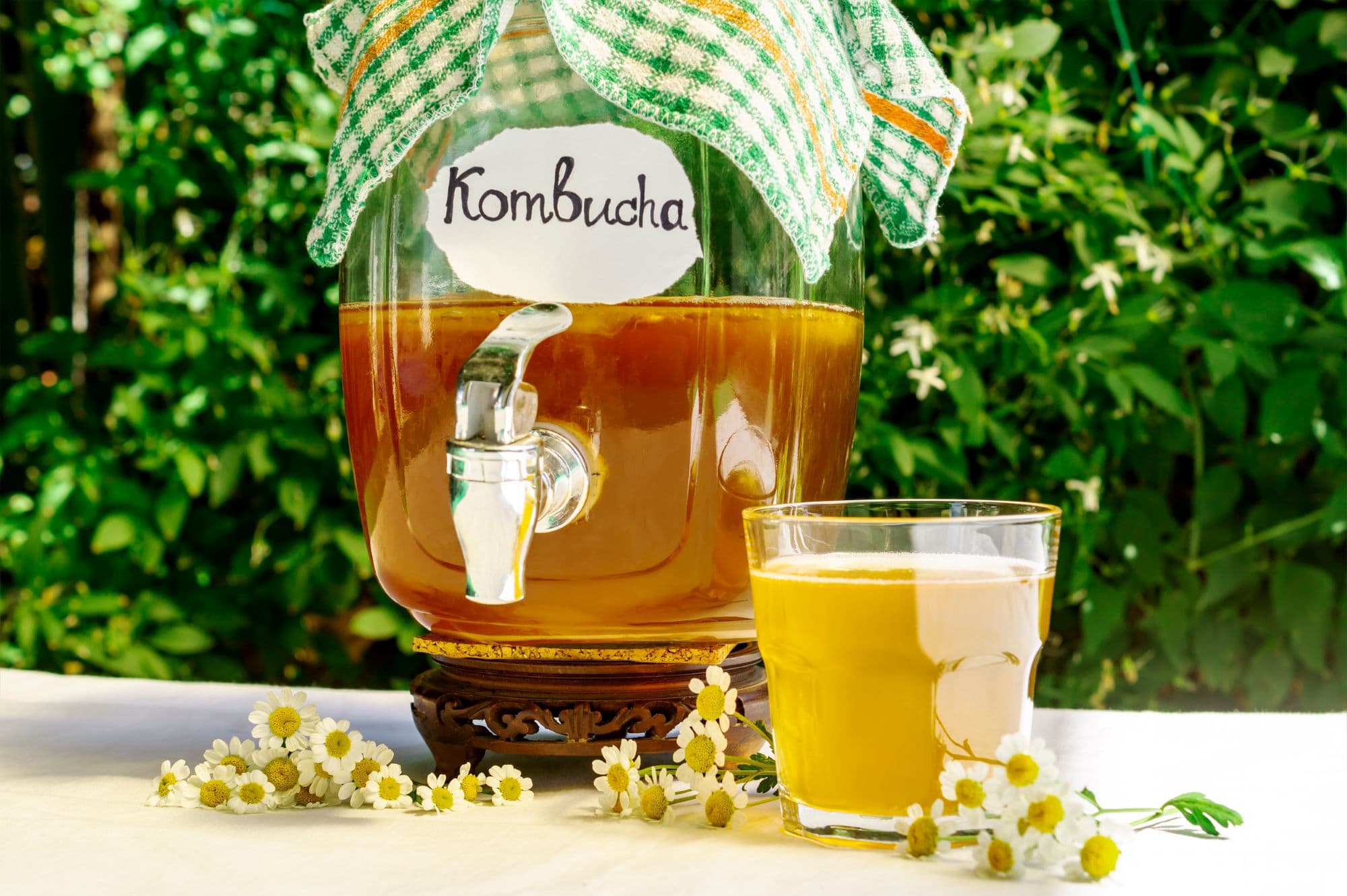 3_Kombucha tea_Insta_aug.jpg