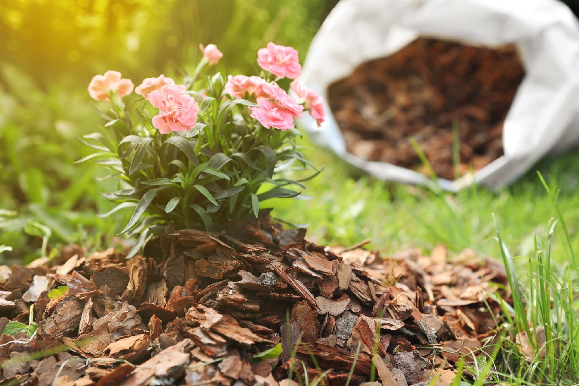 5_mindent a mulcsról3_Insta_márc.jpg