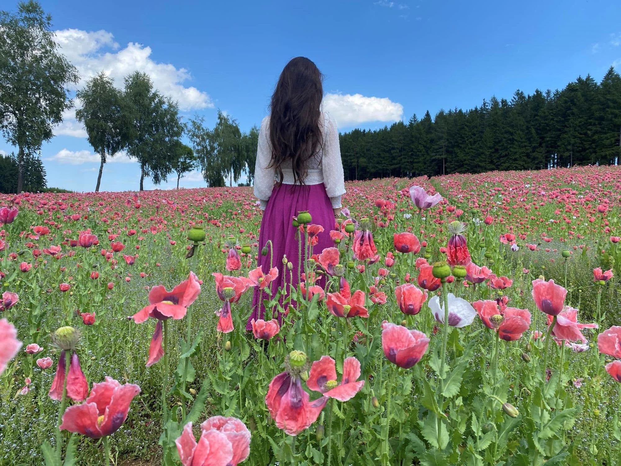 8_talpalatnyi történetek_Insta_szept.jpg