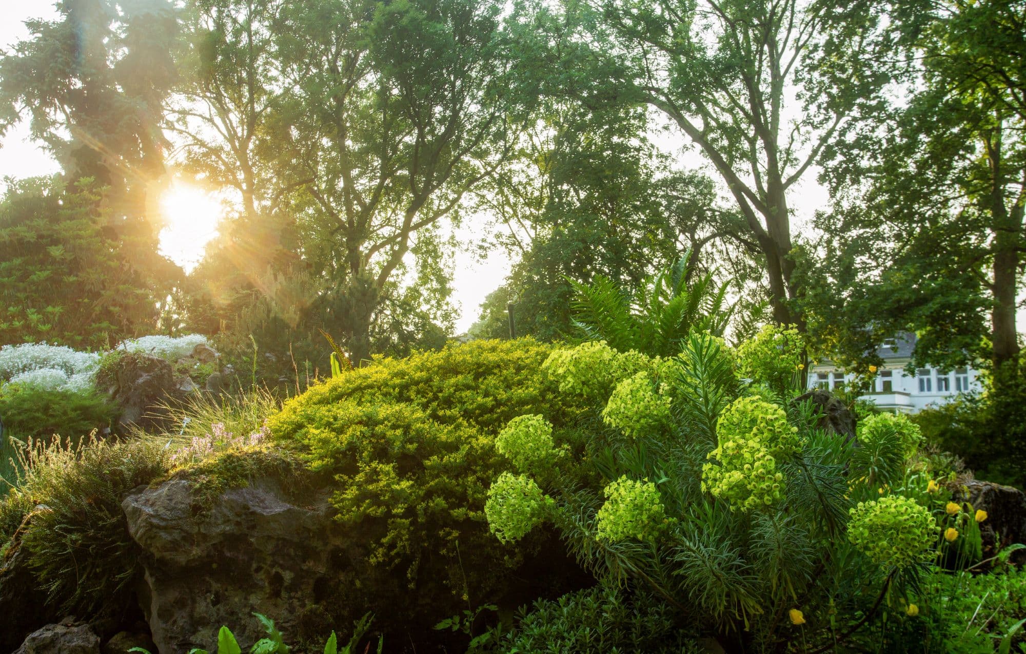 9_ligetes kertek_Insta jún.jpg