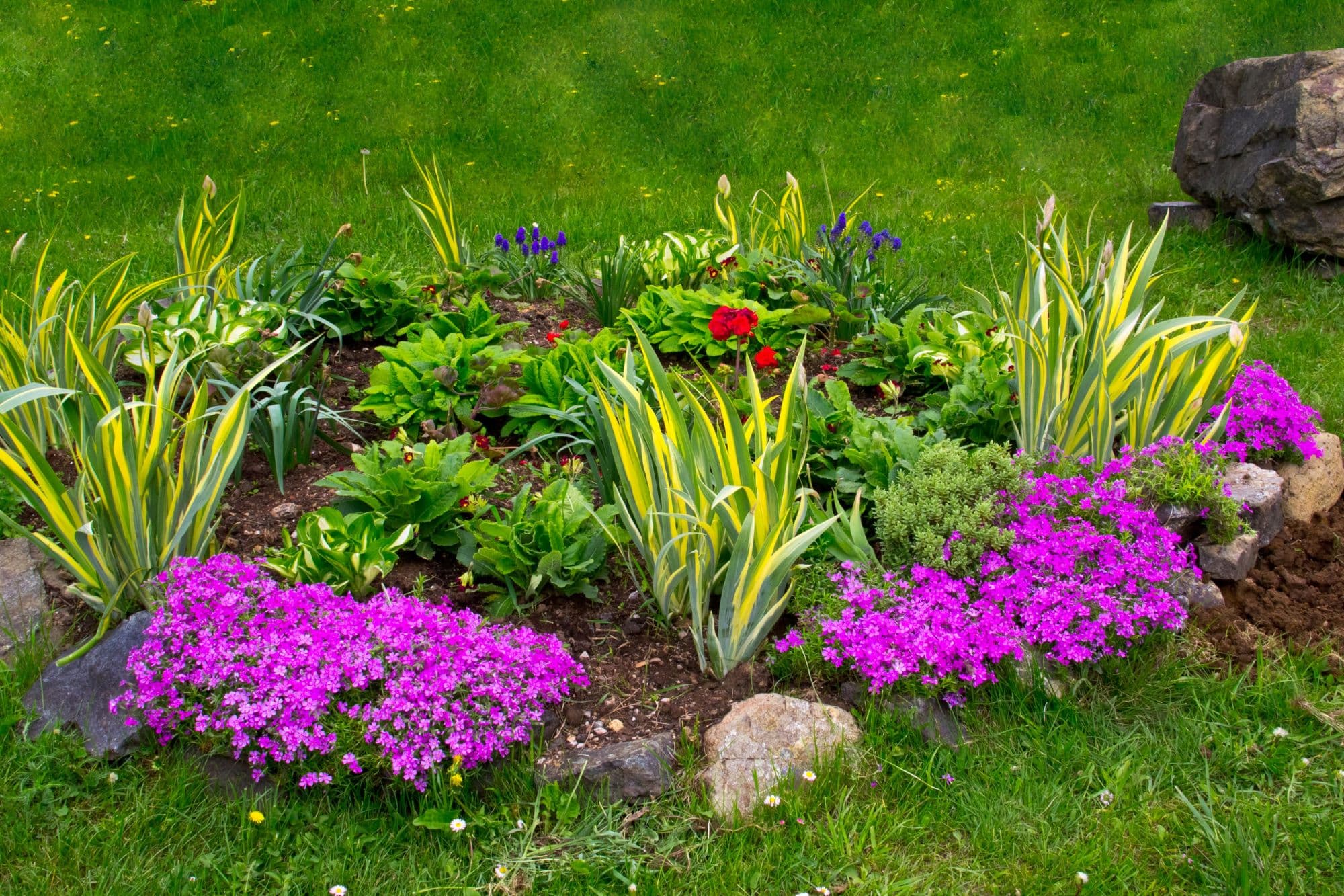 15Évelő ágyások_Insta_jún.jpg