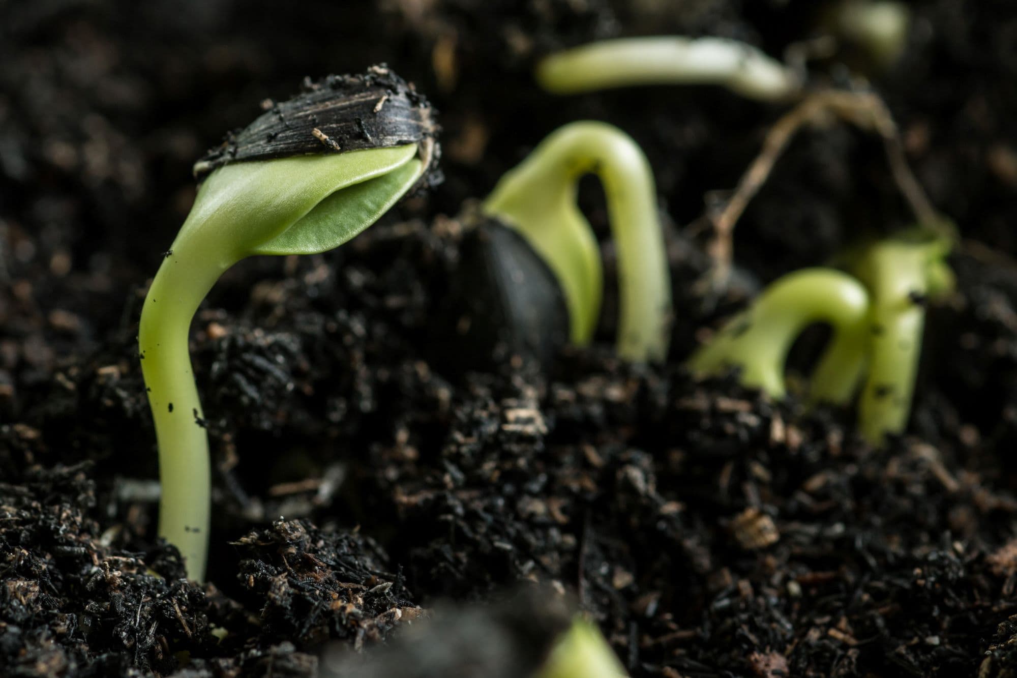 15_ökológiai szemlélet_Insta_márc.jpg