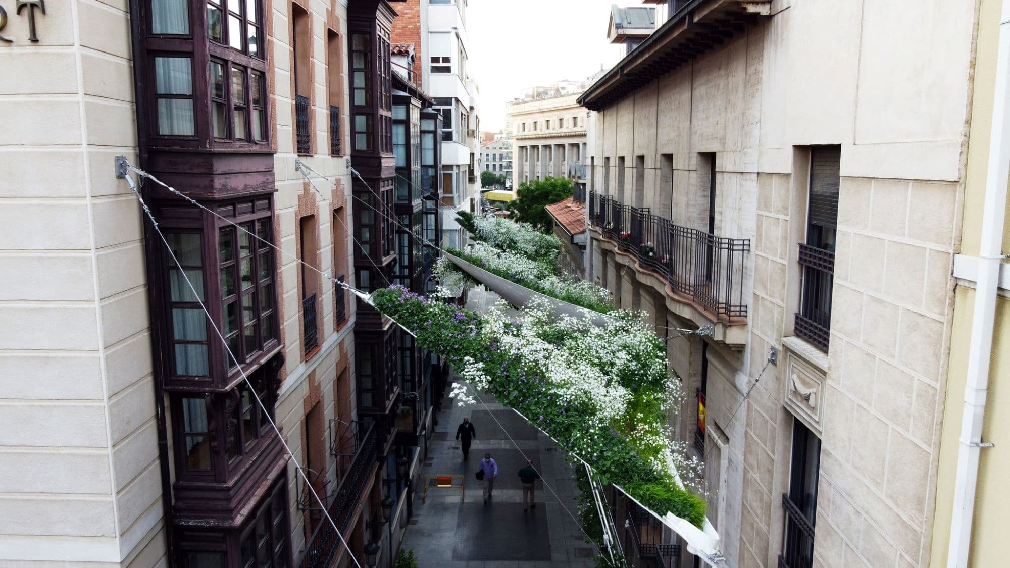 16_zöld tetők_Insta_jan.jpg