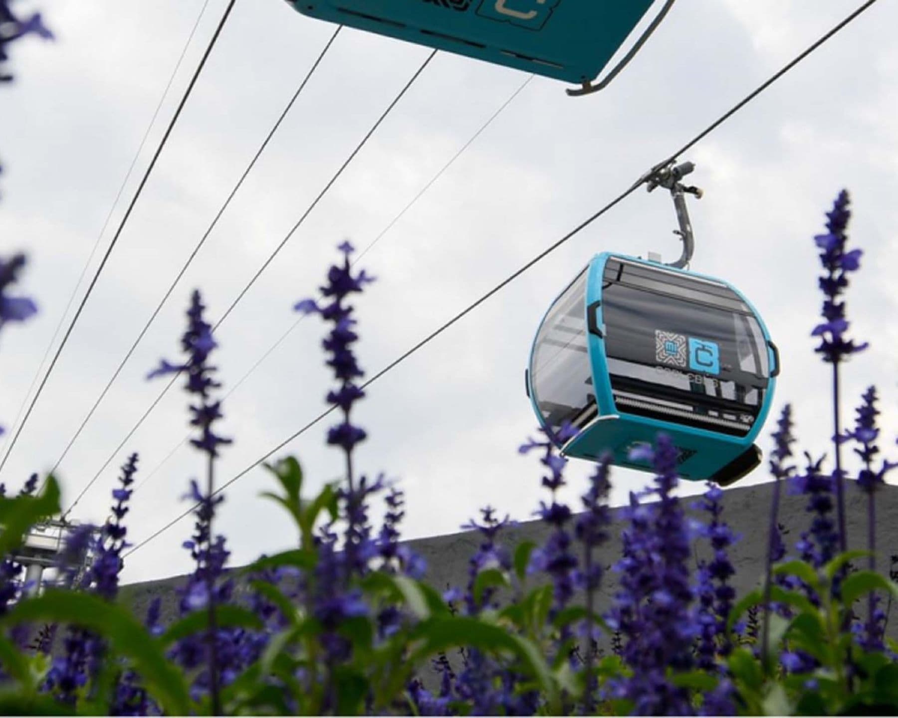 19_Mexikóvárosi calebus_Insta_júl.jpg