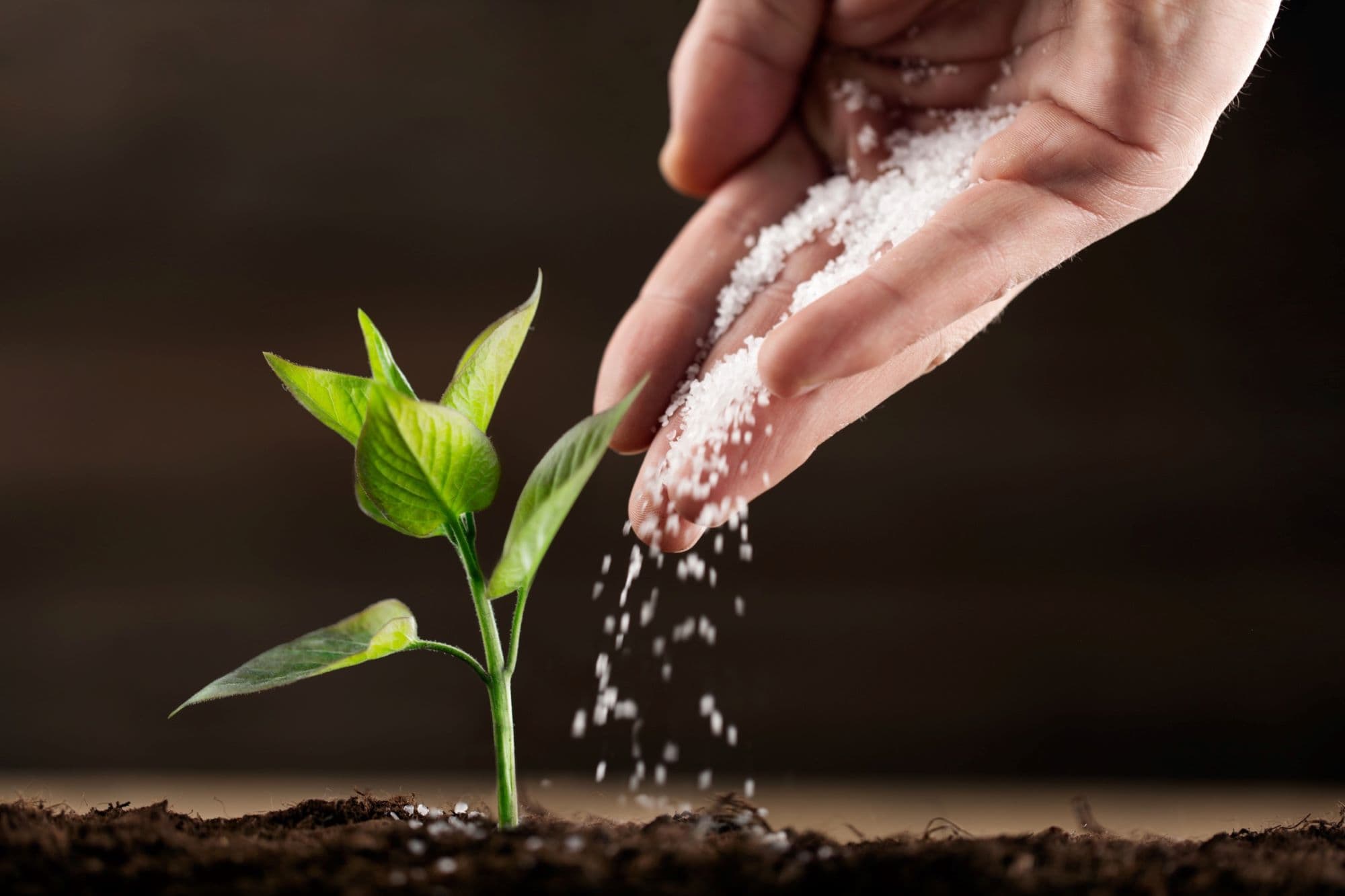 1_indukált rezisztencia_Insta_dec.jpg