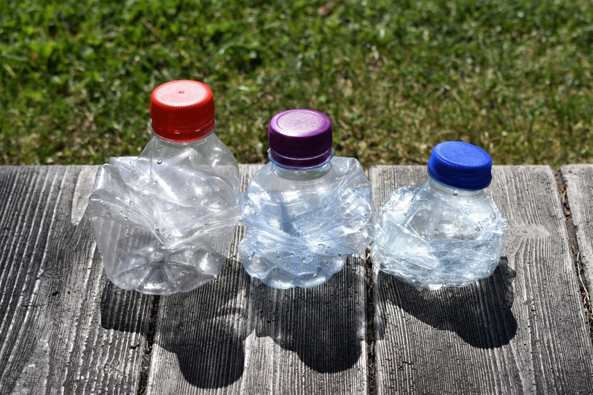 20_műanyagevő baktérium_Insta_aug.jpg