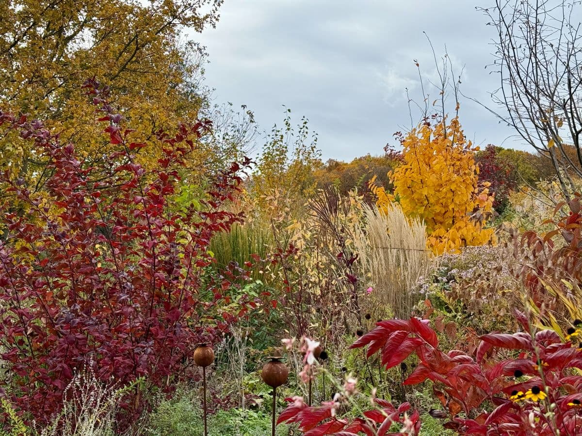 24_Lusta ker_videó_nov.jpg