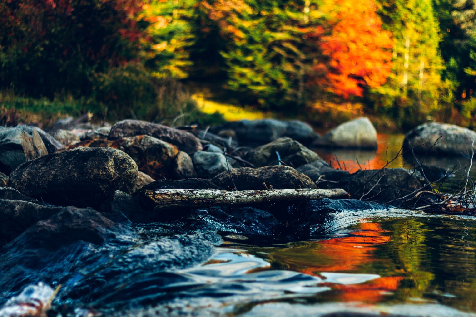 2_erdők a körforgásban_Insta_febr.jpg