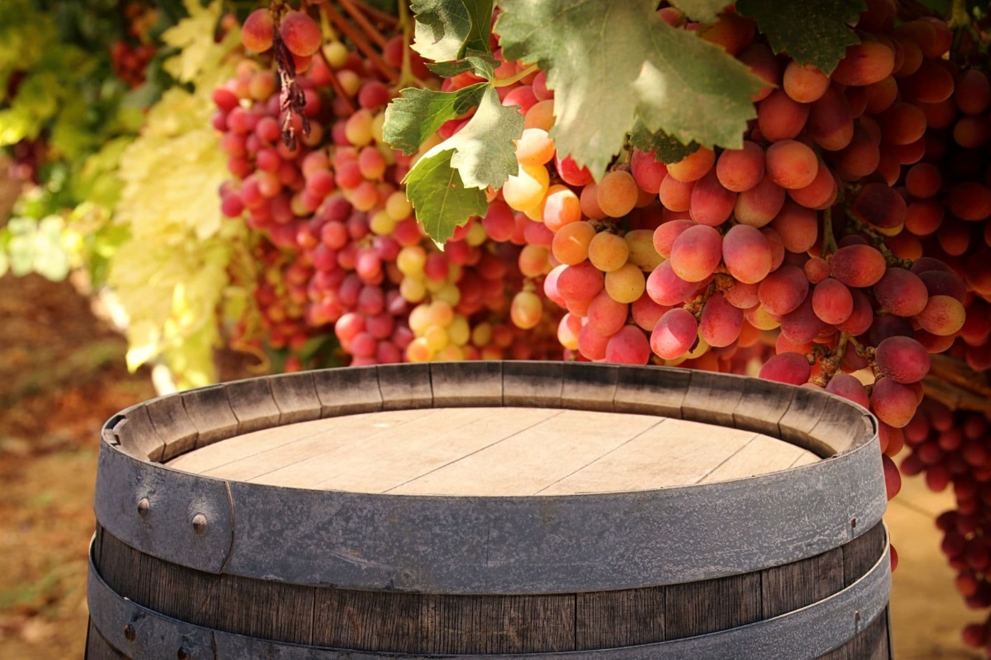 2_novemberi hiedelmek.jpg