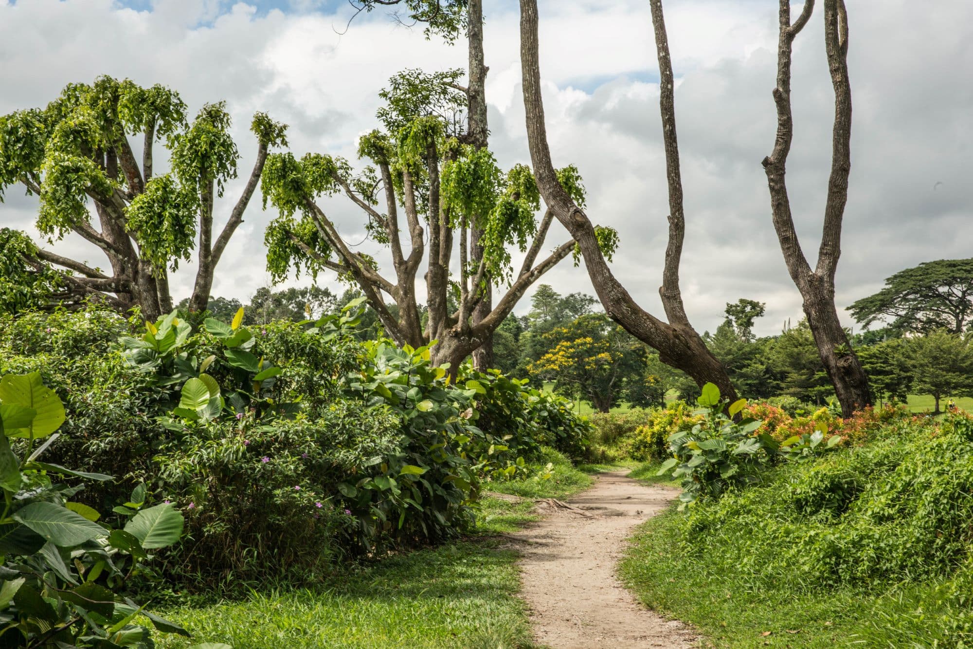 3_zöld folyosó_Insta_ápr.jpg