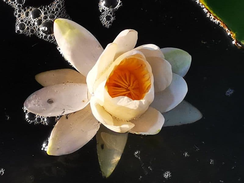 43oldal_galéria_tisza1 (1).jpg