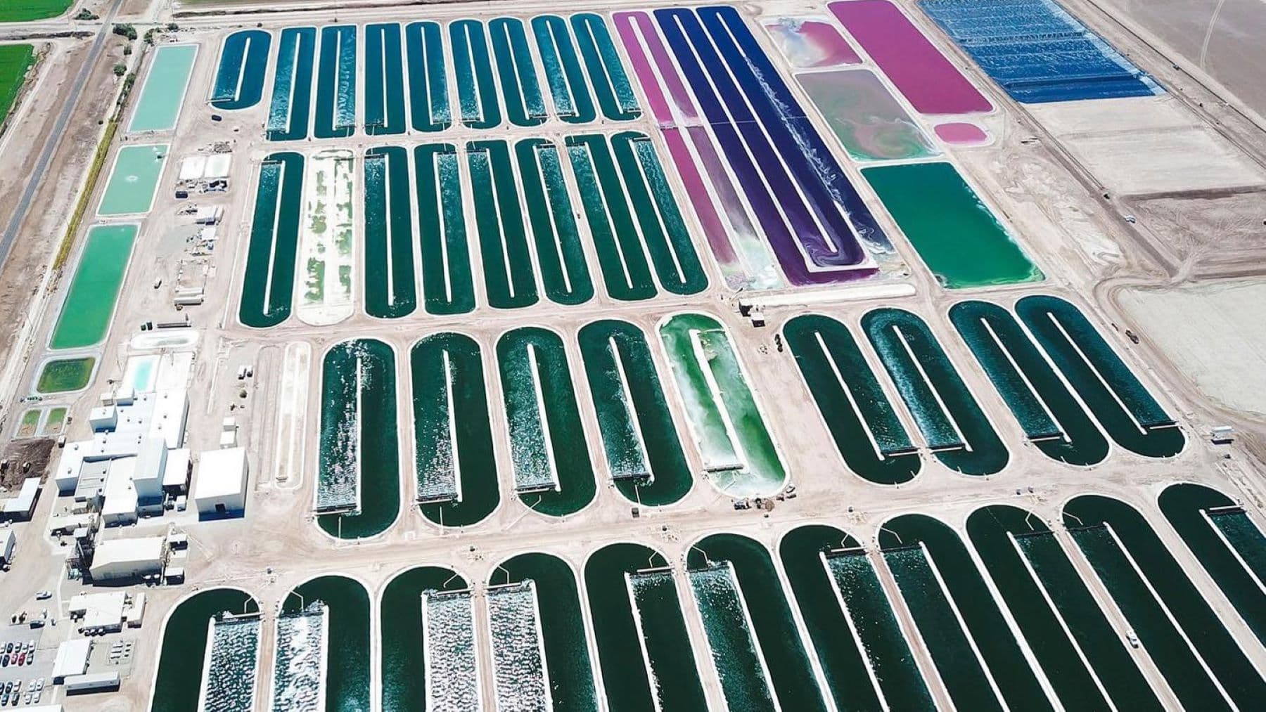 4_Living ink_Insta_Nov.jpg