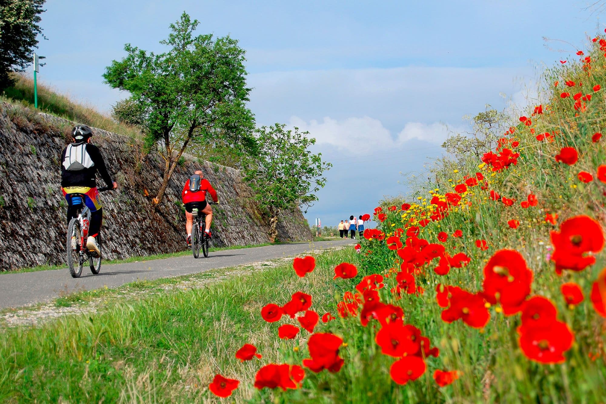 9_spanyol vasút__Insta_febr.jpg