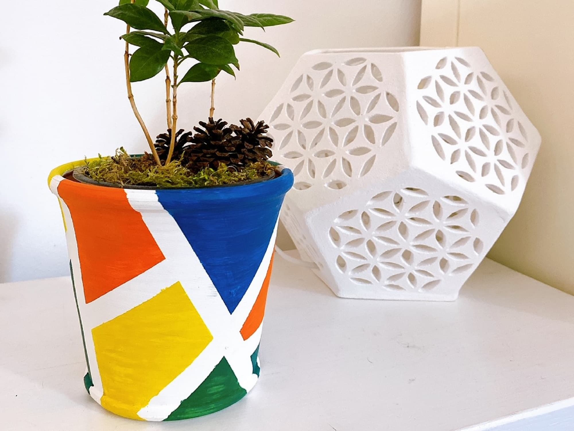 BD cserép_nyitó1.jpg